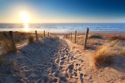 Pad naar strand in de Noordzee_42413847_ds
